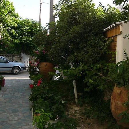 Oasis Studios Paleochora Exterior foto