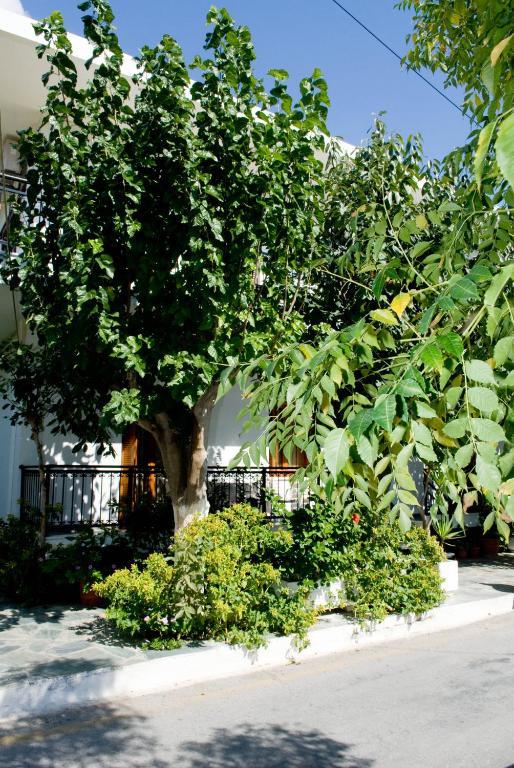 Oasis Studios Paleochora Exterior foto